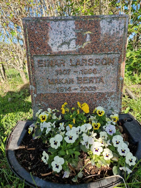 Grave number: 1 13 1889