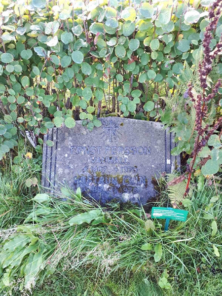 Hautatunnus: NK F B    80