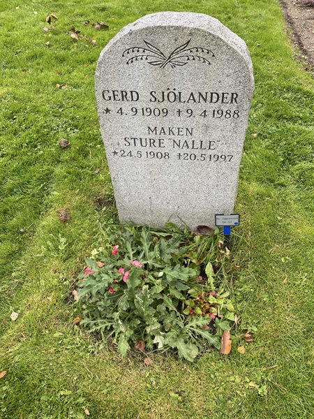 Hautatunnus: 2 C    56-57