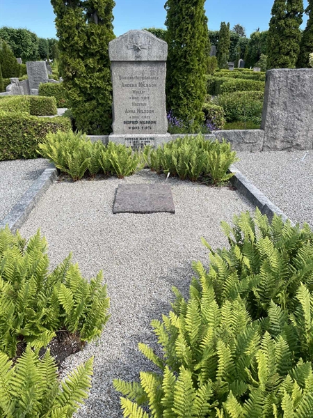 Grave number: NK IV    74
