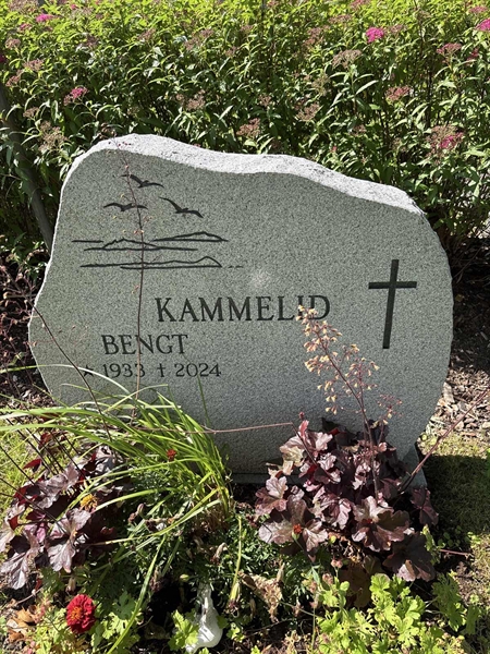 Grave number: TUR   266-268