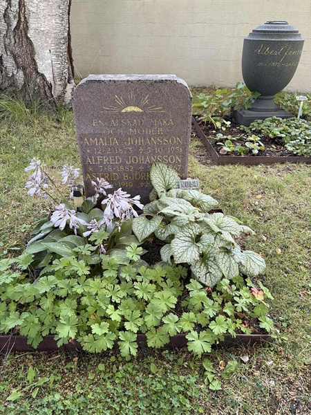 Grave number: 1 NU    54