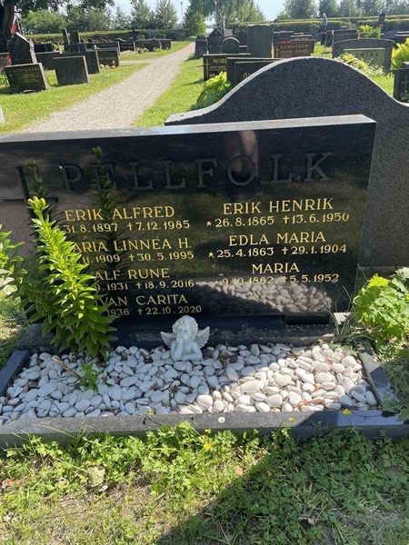 Grave number: N 5 2   301
