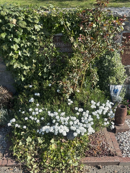 Gravnummer: DE U    24