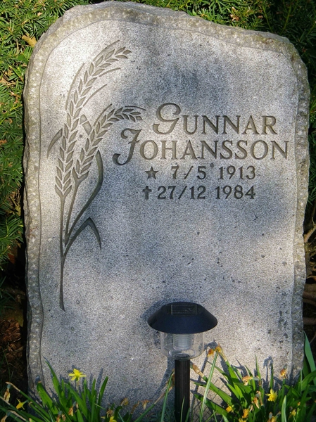 Grave number: OS ÖK   667, 668