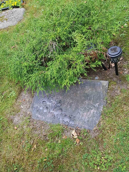 Grave number: 01  2595