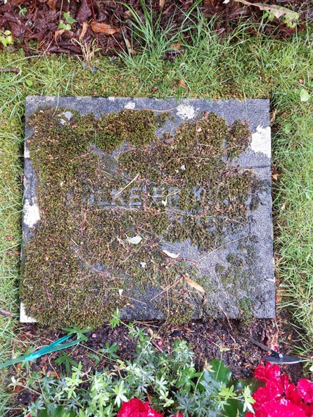 Grave number: 1 U   618