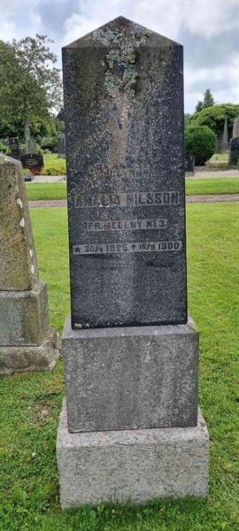 Grave number: LM 2 12  006