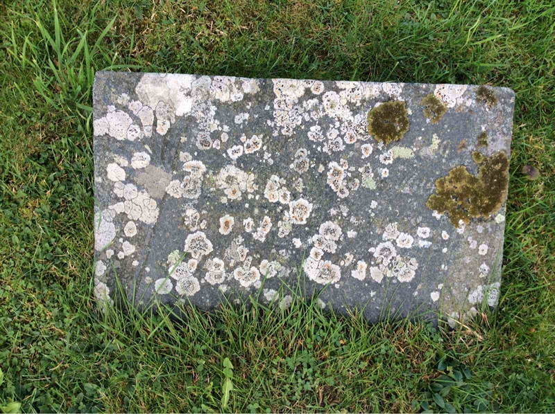 Grave number: KG 09   479