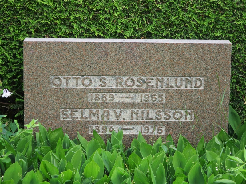 Grave number: HÖB 62    21