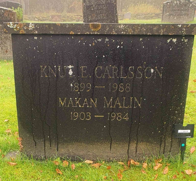 Hautatunnus: 1 F    25A-26