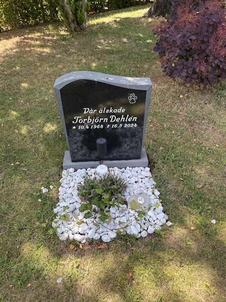 Grave number: NK I:u    99