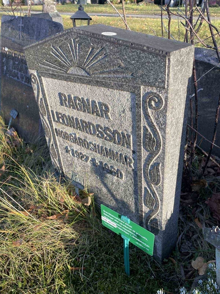 Gravnummer: GK A 3   580