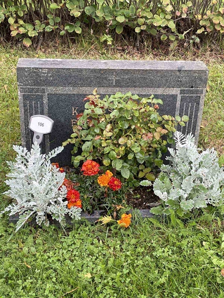 Grave number: 3   106