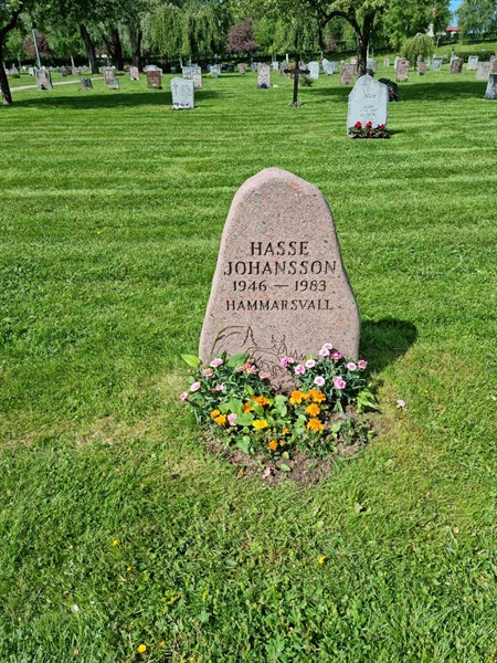 Grave number: D N 3   934