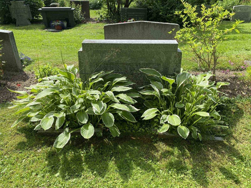 Grave number: 6 2   302-303