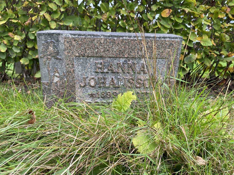 Grave number: 1 19    228