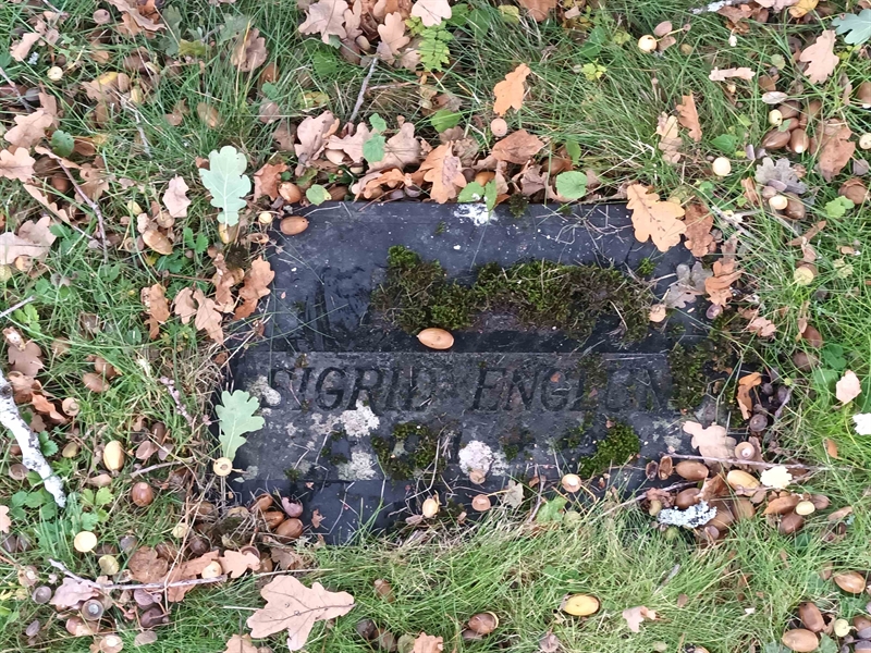 Grave number: NO 20   305
