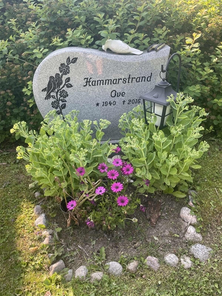 Grave number: 1 F1    70