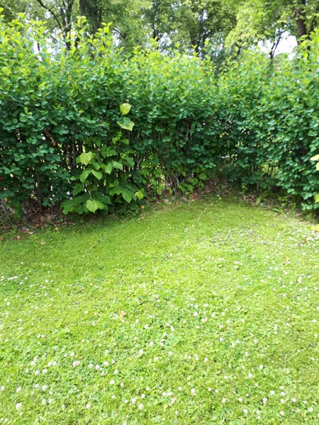 Hautatunnus: GK F 5   408