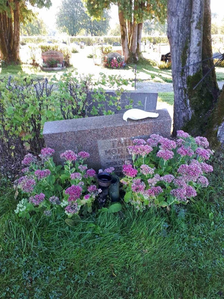 Hautatunnus: NK F B   942-945