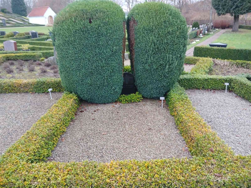 Hautatunnus: Si J   212, 213