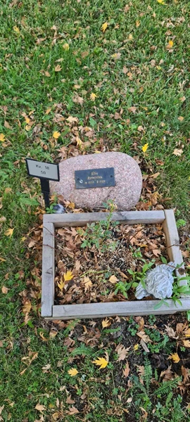 Grave number: M 18   50