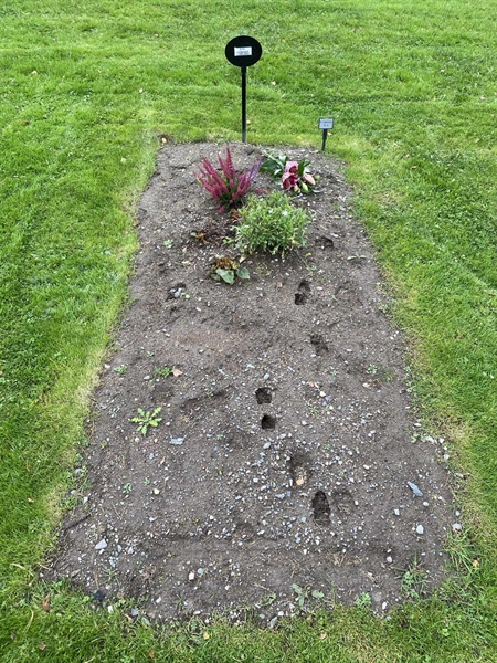 Grave number: 2 C    10-11