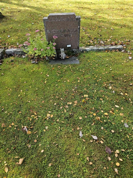 Hautatunnus: Fr 6   371-372