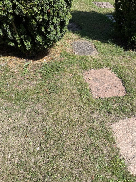 Grave number: NK I:u    62