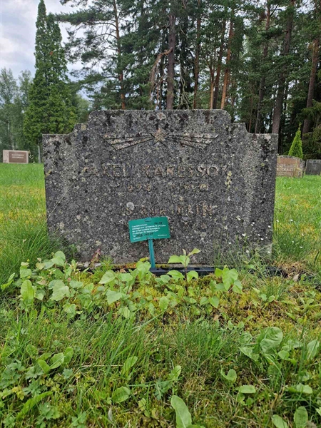 Gravnummer: 2 KV.1 94-95