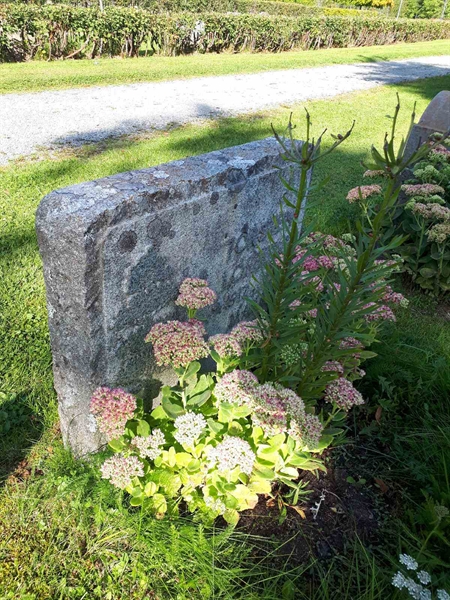 Hautatunnus: NK F D     2