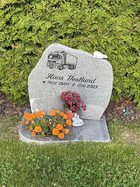 Grave number: 2 D    31
