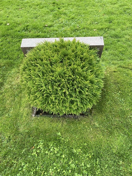 Gravnummer: 2 C   122