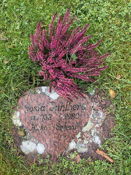 Grave number: 1 24    232