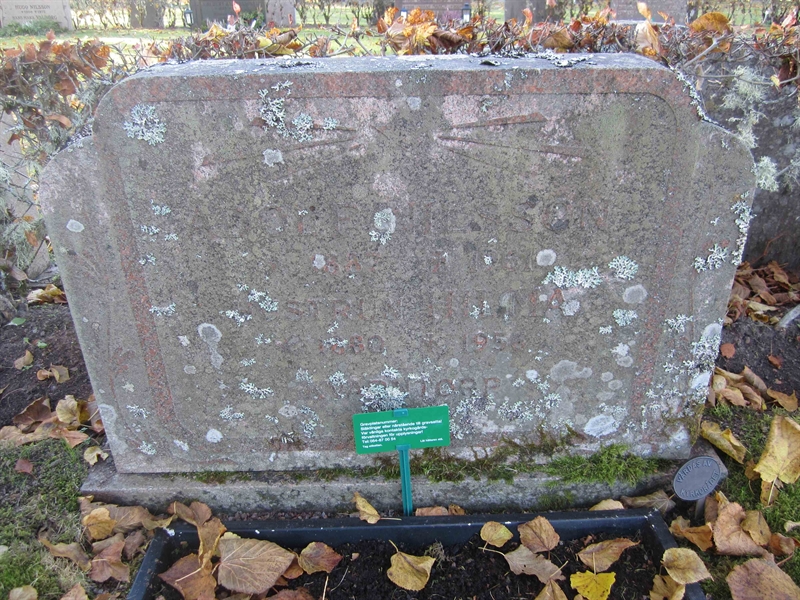 Grave number: 1 41B    19A