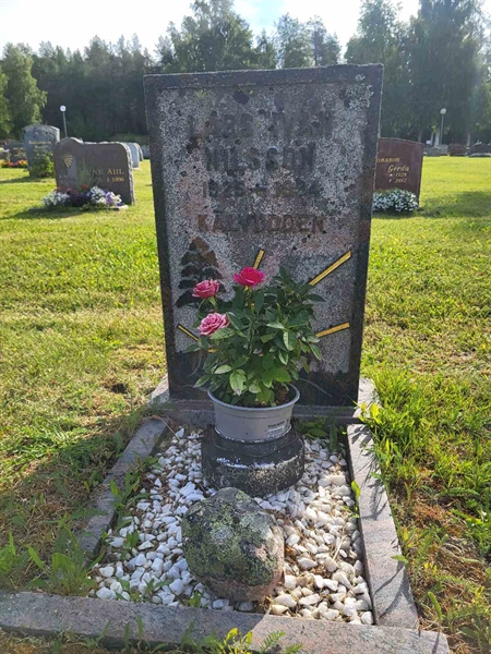Grave number: 001 4  3196