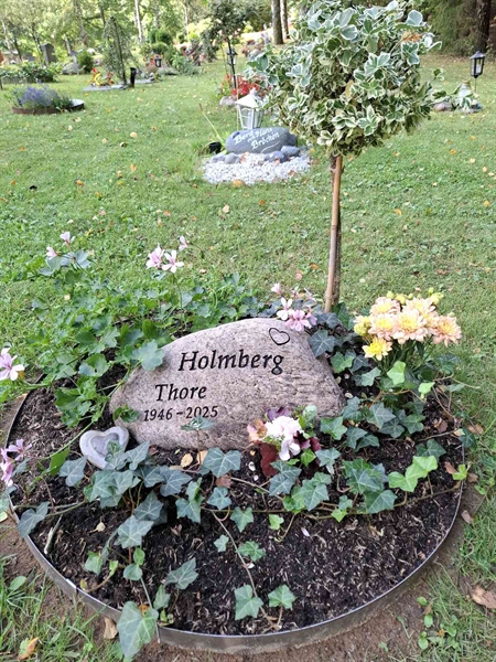 Hautatunnus: 01 12208