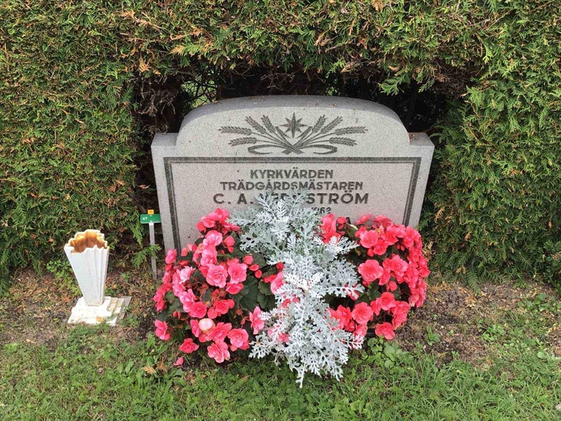 Hautatunnus: Kaga ga    67