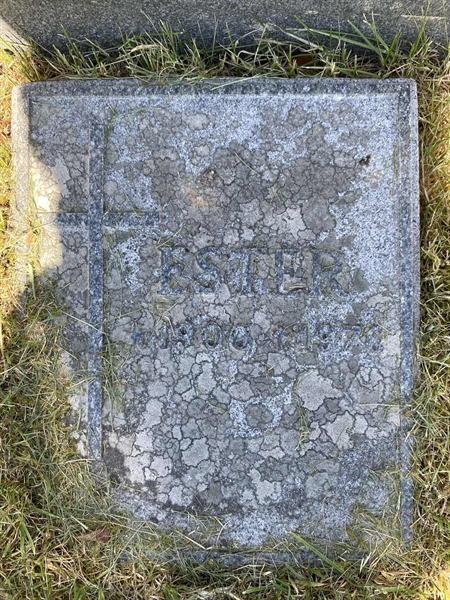 Gravnummer: 1 05 194, 195