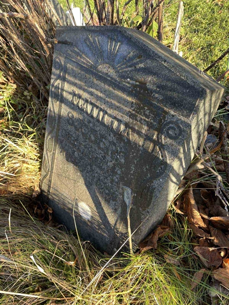 Gravnummer: GK A 3   555