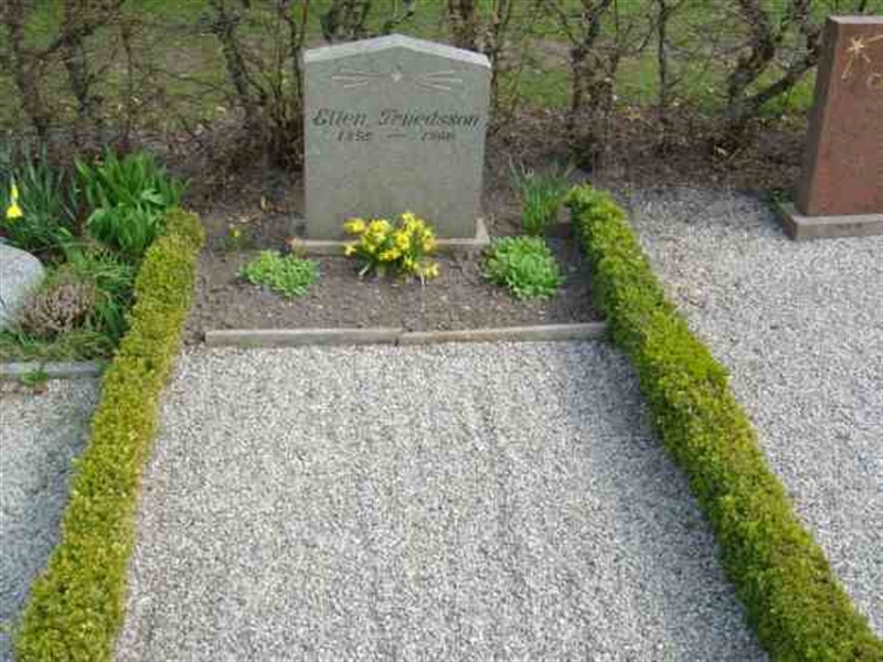 Grave number: FLÄ G   173