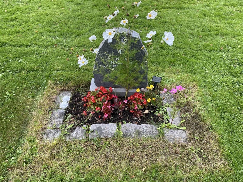 Hautatunnus: 2 C   228-229