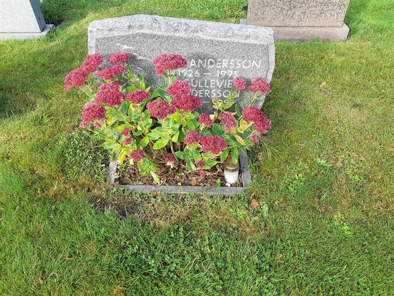 Grave number: Fr 8   504