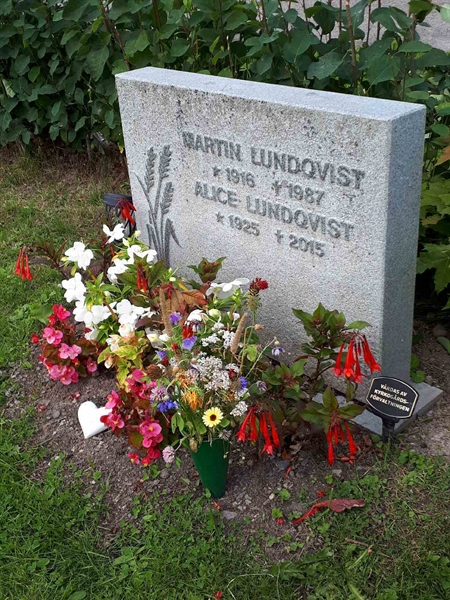 Hautatunnus: NK F C   100-101