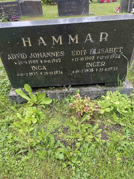 Hautatunnus: N 4 4   590a