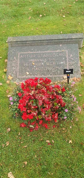 Gravnummer: 1 D    65