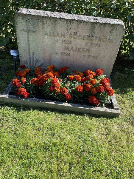 Grave number: 3   254-255