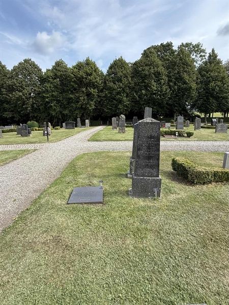 Gravnummer: AN 5     7