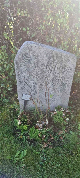 Grave number: M 16    5, 6